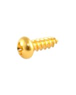 Gibson truss rod cover screws gold set of 2