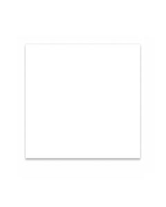 Pickguard material plate 1ply white 290mm x 300mm PG-133-W