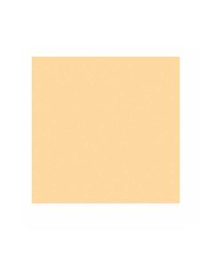 Pickguard material 1ply cream 290mm x 300mm PG-133-C