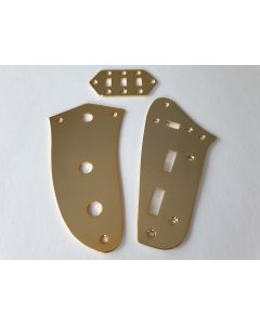 Jaguar guitar control & preset & slide switch plate kit gold + screws