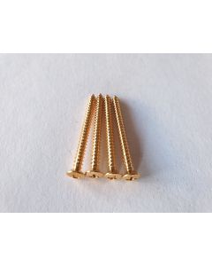 (4) guitar neck plate / neck mounting screws 4mm x 45mm gold TS-03-G