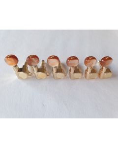 Guitar 6 in line tuners gold with brown pearl buttons