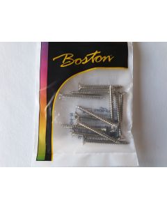 (12) Neck plate screws 4,5mm x 45mm nickel TS-04-N