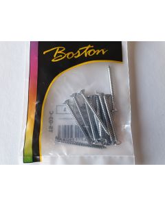 (12) Neck plate screws 4mm x 45mm chrome TS-03-C