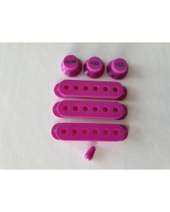Stratocaster guitar accessory kit purple fits fender