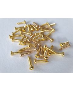 Set of 50 guitar tuner and string guide screws gold