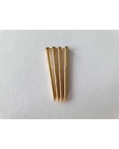 (4) P90 Soap bar / Jazzmaster and bass pickup mounting screws gold