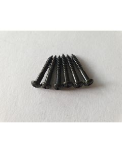 Stratocaster vintage tremolo mounting screws black