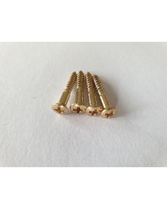 Set of 4 Telecaster and Bass bridge mounting screws gold