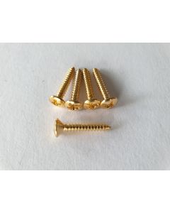 (5) Telecaster bass guitar bridge mounting screws gold