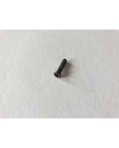 (1) Tuner machine head peg mounting screw black