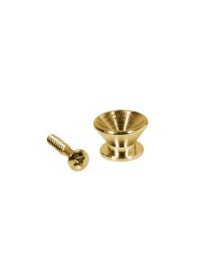 (2) Guitar set strap buttons gold + screws v model EP-F-G