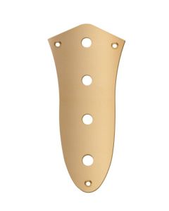Jazz bass standard control plate gold for CTS CP-JB-AG  